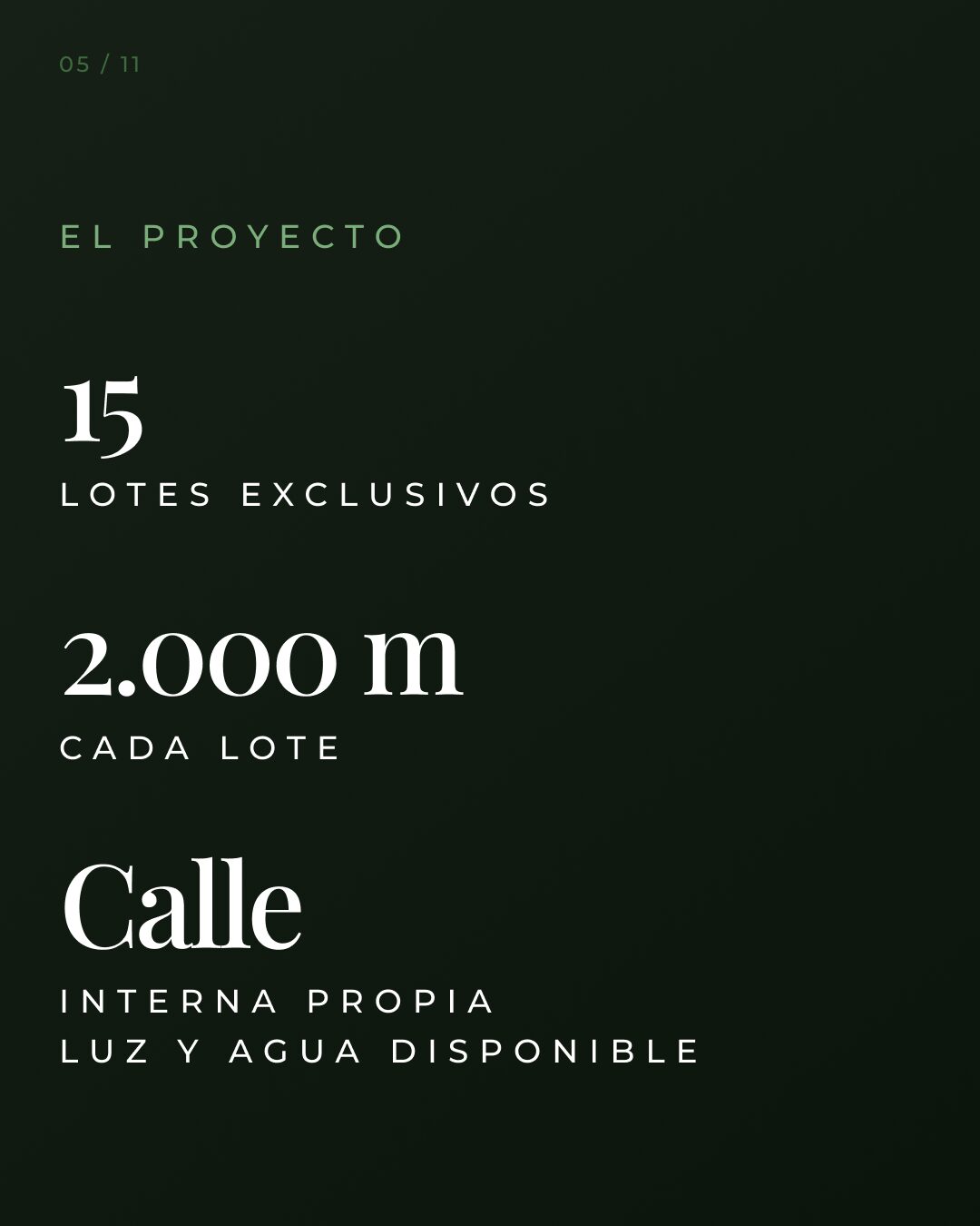 Terrenos de 2.000 m² en zona residencial exclusiva de Paysandú. El lugar ya está. Solo falta tu proyecto. — foto 5